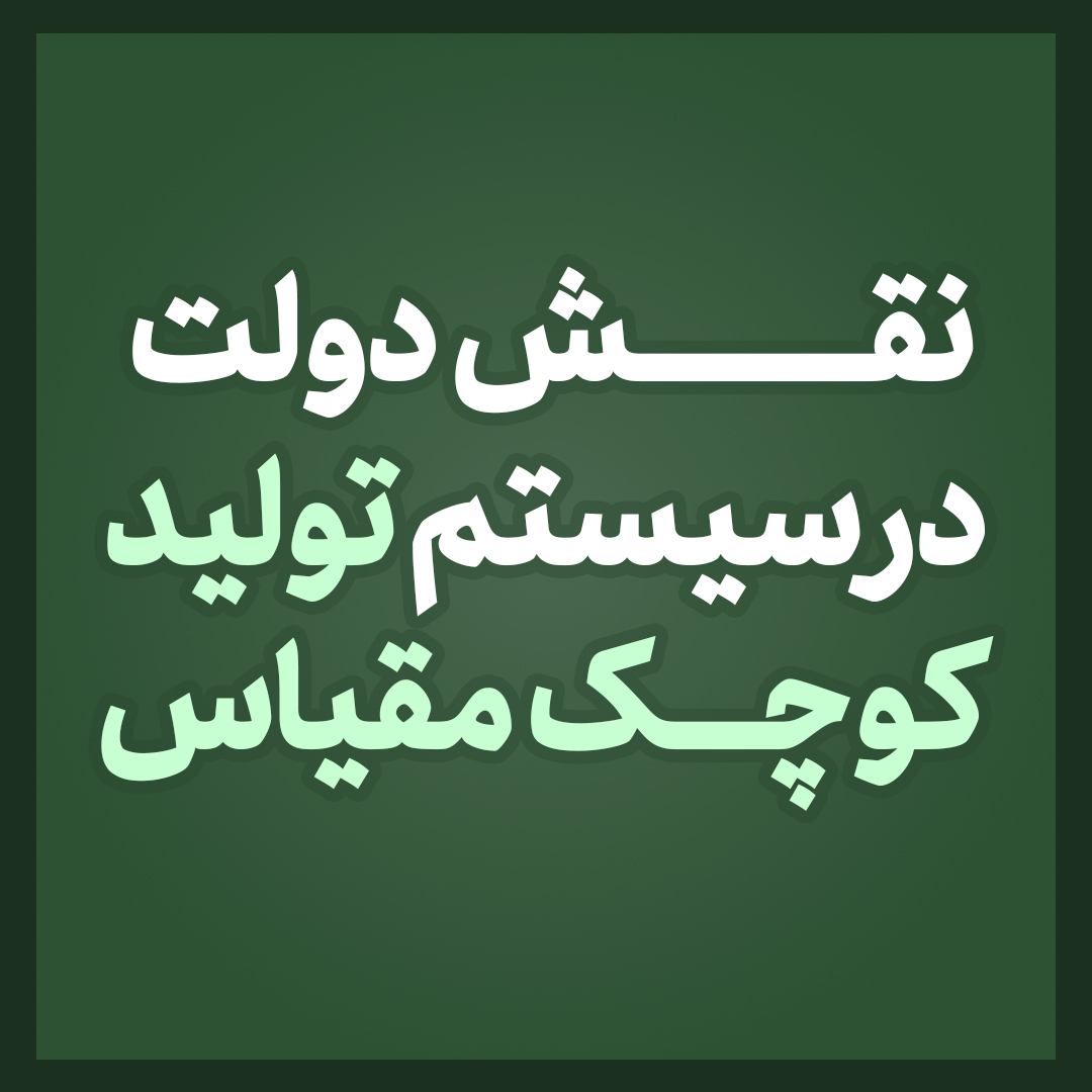 نقش دولت در سیستم تولید کوچک مقیاس